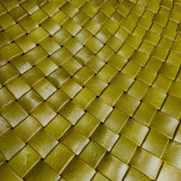 Dragon Diffusion Bamboo Green Rosanna Bag - Picture 12 of 12